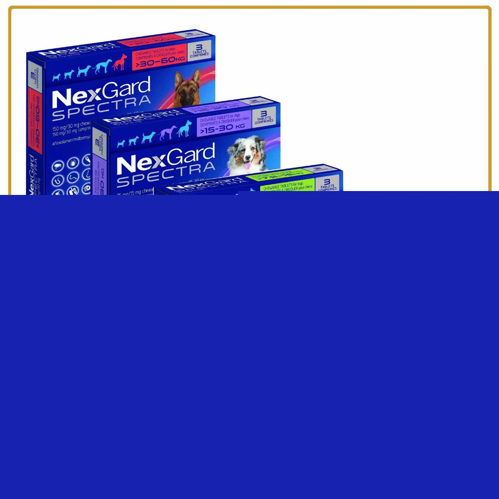 LICENSE SUPPLIER Nexgard Spectra chew for dogs (5 sizes)